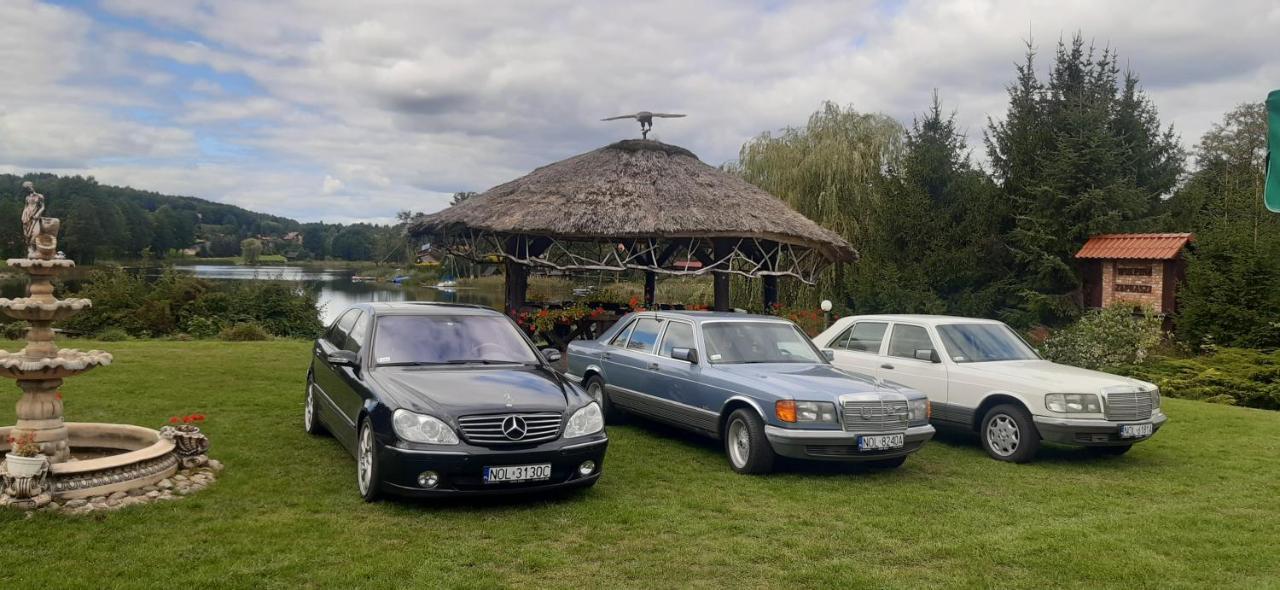 Wulpink Olsztyn Majdy