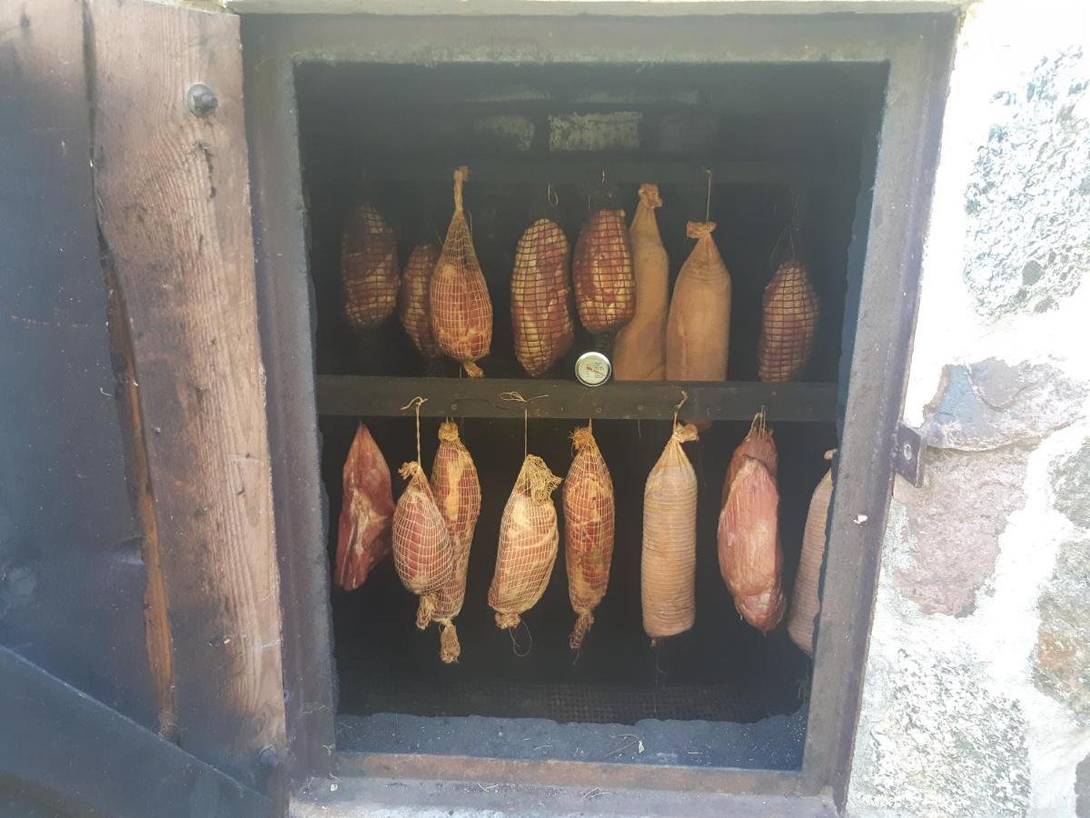 Penzion Wulpink Olsztyn Majdy