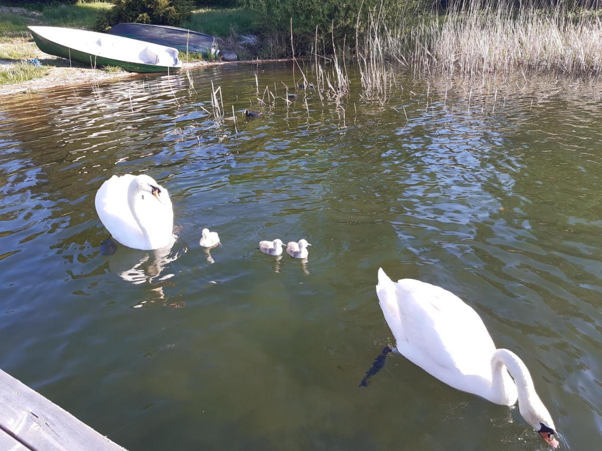 Wulpink Olsztyn *